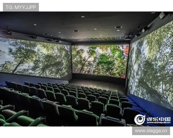 宝龙娱乐：打造高品质娱乐内容满足不同年龄层观众需求的实践