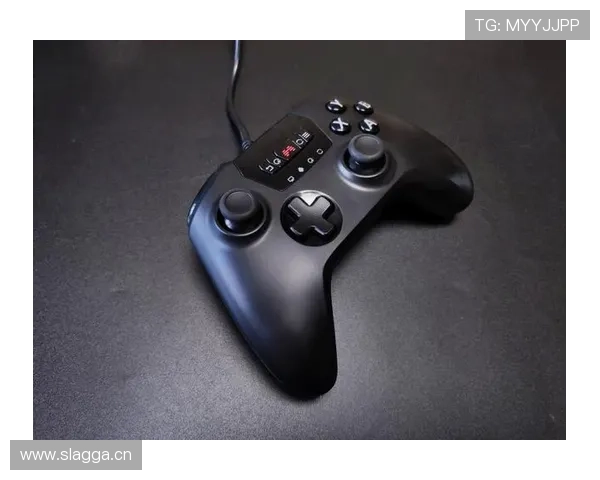 必赢官网真人游戏专业客服支持，保障每一位玩家的游戏体验