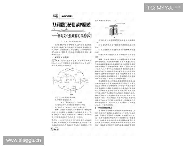 三公三孤:深入了解三公三孤的规则技巧与实战经验分享 三公三孤:深入了解三公三孤的规则技巧与实战经验分享