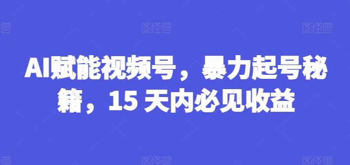 AI赋能视频号，暴力起号秘籍，15 天内必见收益【揭秘】大伟网创-互联网资源-资源网-创业项目-软件工具大伟网创